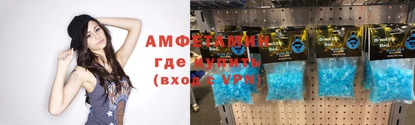 индика Алексин