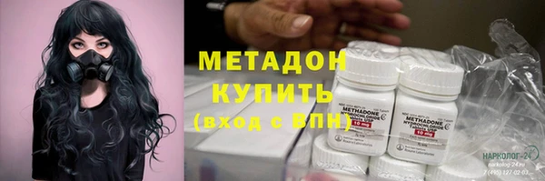 индика Алексин