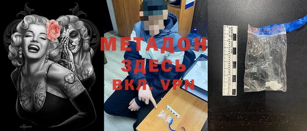 индика Алексин