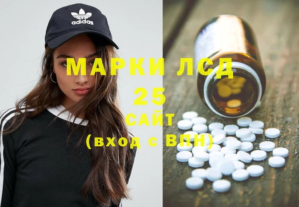 индика Алексин