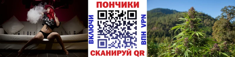 Бошки Шишки VHQ  MEGA сайт  Щёлково  как найти  